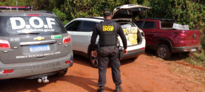 Veículos carregados com mais de mil e seiscentos quilos de maconha foram apreendidos pelo DOF durante a Operação Hórus