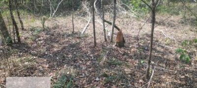 Polícia Militar Ambiental de Bonito autua infratora em R$ 5 mil por desmatamento ilegal de vegetação em área protegida