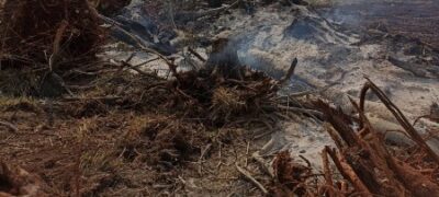 PMA de Bela Vista autua infrator em R$ 3 mil por realizar limpeza de pastagem e incendiar vegetação neste período de proibição