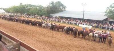 Clube do Laço Retiro Caracol prepara grande festa para os dias 3 a 5 de dezembro