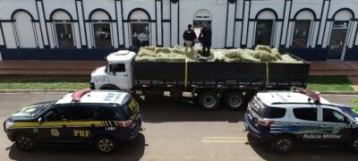 Policiais Militares desarticulam ação criminosa e apreendem 7 toneladas de maconha no Alto Caracol