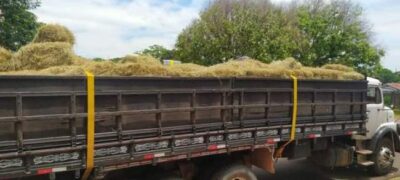 DOF e Policia Militar aprende caminhão carregado de maconha no Alto Caracol