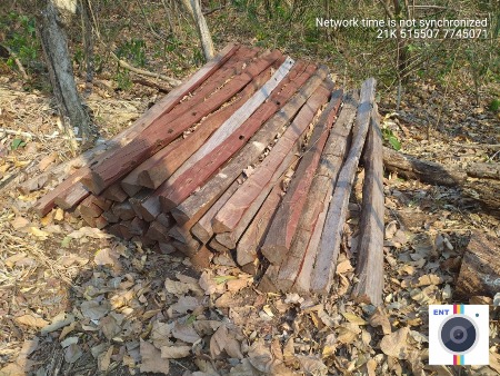 Polícia Militar Ambiental de Miranda autua infratora por exploração ilegal de madeira