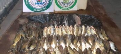PMA de Bonito e Jardim desmontam acampamento e autuam dois catarinenses em R$ 1,8 mil por crime de pesca