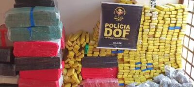 DOF apreende quase uma tonelada de drogas em residência e recupera veículo