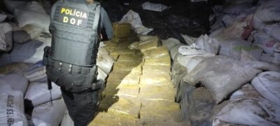 Mil e setecentos quilos de maconha foram apreendidos pelo DOF escondidos entre sacos de ração