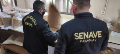 Área de Controle Integrado de Ciudad del Este registra 646 interceptações de pragas em 2021