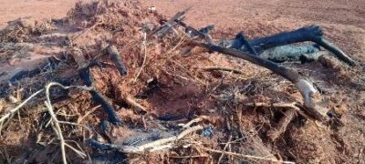 PMA autua 129 infratores e aplica R$ 34 milhões em multas por incêndios em 2021