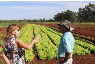 Prefeitura de Sidrolândia garante escoamento de 600 toneladas e município lidera produção de hortigranjeiros