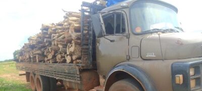 Polícia Militar Ambiental de Campo Grande apreende caminhão com 19 m³ de madeira ilegal e aplica multa de R$ 5,7 mil em infrator