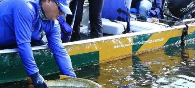 Pesque e solte está liberado a partir desta terça-feira somente nas calhas dos rios Paraguai e Paraná
