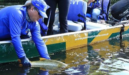 Pesque e solte está liberado a partir desta terça-feira somente nas calhas dos rios Paraguai e Paraná