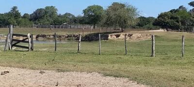Áreas de duas fazendas vão a leilão em Mato Grosso do Sul, totalizando 3.167 hectares