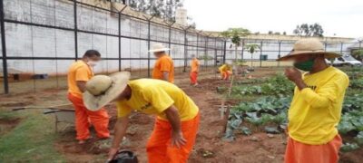 Trabalho no sistema penitenciário gera economia de R$ 44 milhões por ano