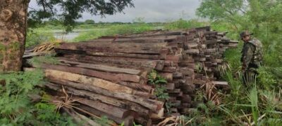 PMA de Porto Murtinho fiscaliza o rio Paraguai, apreende 20 redes de pesca e grande quantidade de madeira nobre à margem do rio