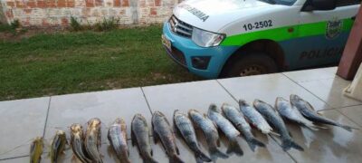 PMA do Distrito de Águas do Miranda autua pescador por capturar pescado acima da cota permitida e apreende caixa com pescado