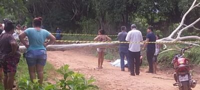 Jovem de 24 anos morre após ser atingido por árvore em Bella Vista