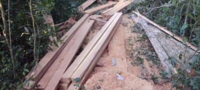 PMA de Bela Vista apreende madeira retirada de área protegida de reserva legal de assentamento