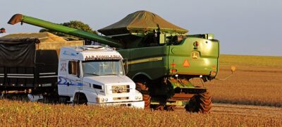 Agropecuária gera o dobro de emprego no ano e puxa índice de vagas no Estado