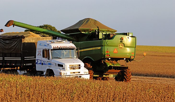 Agropecuária gera o dobro de emprego no ano e puxa índice de vagas no Estado