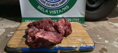 Polícia Militar Ambiental de Bela Vista autua três caçadores por abate de animal, apreende 30 kg de carne e os autua em R$ 1,5 mil
