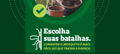 Aumento de casos de dengue no Brasil chama a atenção e cuidados precisam ser reforçados   