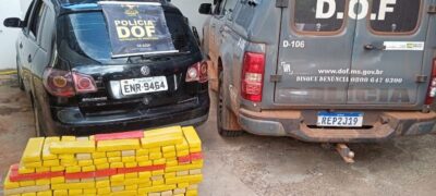 DOF prende homem que transportava mais de 160 quilos de maconha para Campinas