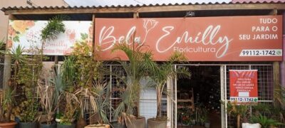 De catador de recicláveis a dono de floricultura próspera na Capital