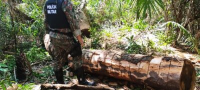 PMA de Porto Murtinho autua infrator em R$ 4 mil por exploração ilegal de madeira em área protegida