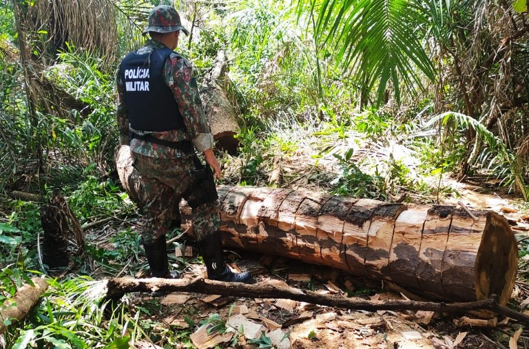 PMA de Porto Murtinho autua infrator em R$ 4 mil por exploração ilegal de madeira em área protegida