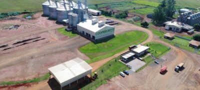 Milho é um dos principais produtos do agronegócio brasileiro