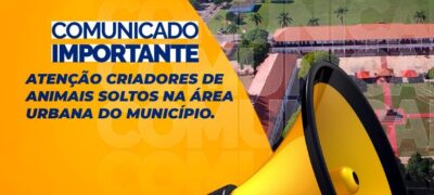Bela Vista: Prefeitura alerta proprietários de animais soltos nas ruas