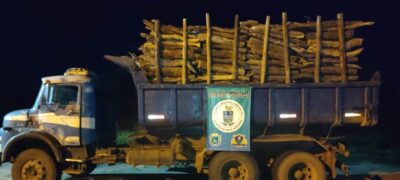 Polícia Militar Ambiental de Miranda apreende caminhão com 19 m³ de madeira ilegal e autua infrator em 5,6 mil