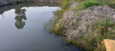 PMA de Dourados autua dono de sítio em R$ 5 mil por construir tanques de piscicultura degradando matas ciliares de córrego na propriedade