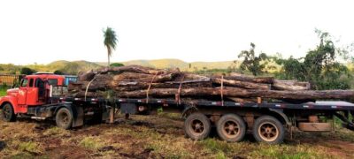 PMA de Águas do Miranda apreende carreta carregada com toras de madeira transportadas ilegalmente e autua motorista em R$ 4,6 mil