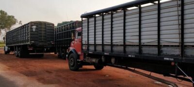Iagro suspende obrigatoriedade do uso do aplicativo de transporte de animais