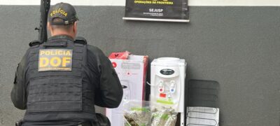DOF apreende mais de dez quilos de skunk dentro de bebedouro de água