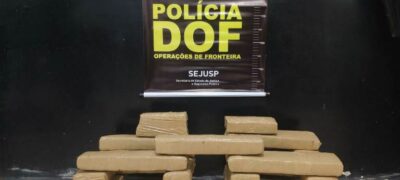 Homem é preso pelo DOF com 27 tabletes de maconha dentro de ônibus