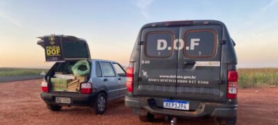 Motorista abandona carga de maconha e ‘skunk’ e foge a pé por mata