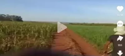 VÍDEO mostra momento em que indígena é ferido a tiros durante retomada de fazenda em MS
