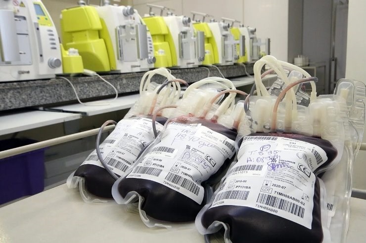 Junho Vermelho: Doações de sangue e medula óssea são esperança de vida