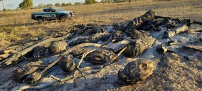 Polícia Militar Ambiental de Corumbá autua infrator em R$ 1 mil por incêndio em leiras, durante trabalho na operação Prolepse de prevenção a incêndios