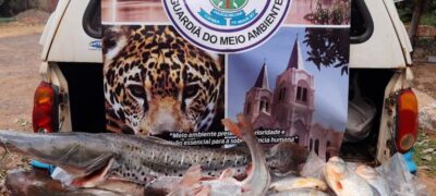 Polícia Militar Ambiental autua 134 pessoas por pesca ilegal, apreende 527 kg de pescado e aplica R$ 141 mil em multas no primeiro semestre de 2022