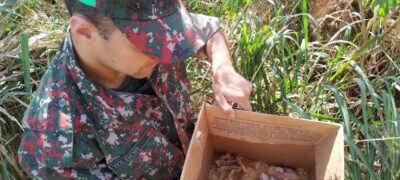 PMA deflagra hoje a operação Bocaiúva contra o tráfico de animais que em 2021 apreendeu 236 aves e autuou 5 traficantes em R$ 2,3 milhões