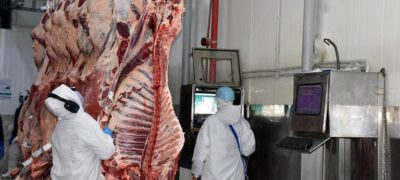 Exportação de industrializados alcança em julho melhor resultado para o mês em toda a série histórica