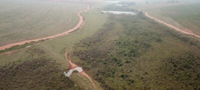 PMA de Batayporã autua paulista em R$ 102 mil por manter 66 animais em área protegida de reserva legal e de uma lagoa natural