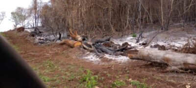 PMA de Campo Grande autua arrendatário em R$ 486 mil por incêndio em leiras, atingindo 84,5 hectares