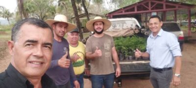 Parceria: Bela Vista recebe 100 mudas de Jacarandá, de  Bonito