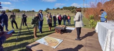Potencial da fronteira: a indução da vitivinicultura na Campanha Gaúcha