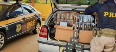 Após fuga de indivíduo, PRF localiza contrabando milionário de cigarro